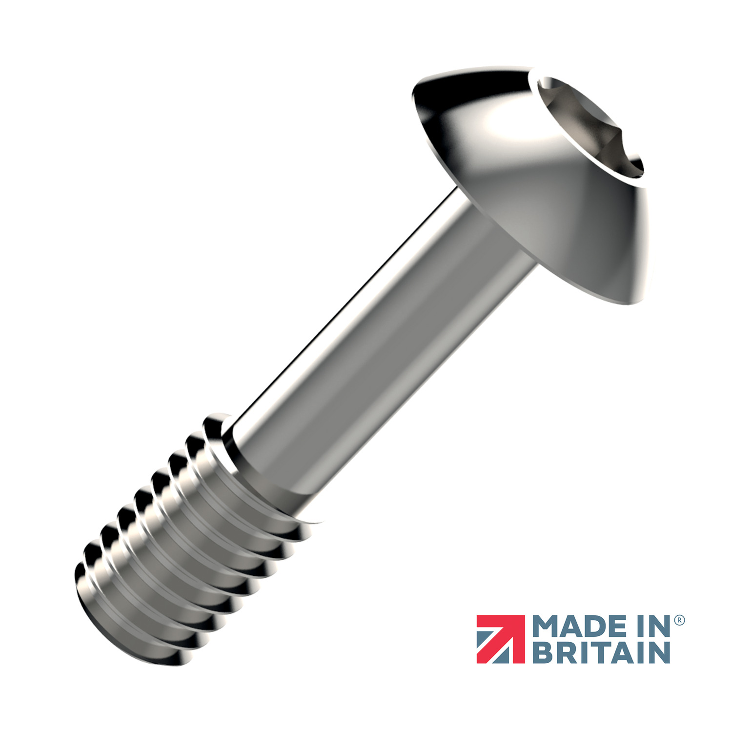 silver coloured button head captive screw with hex drive